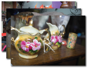 Photo shoot at Honey Hollow Treasures