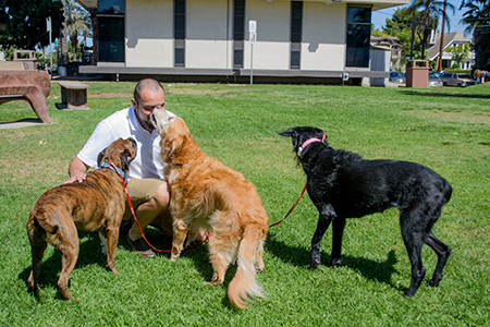 Canine Education photo shoot