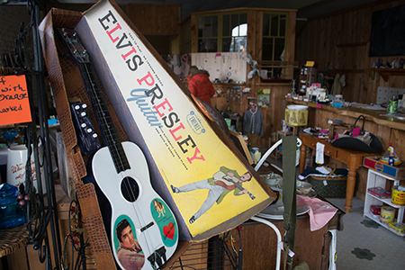 Honey Hollow Treasures photo shoot